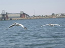 walvis baai